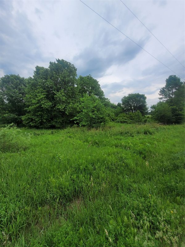 0000 County Hwy B Lot 4, Neillsville WI 54456 - Land house for sale - MLS #1597957 - image2