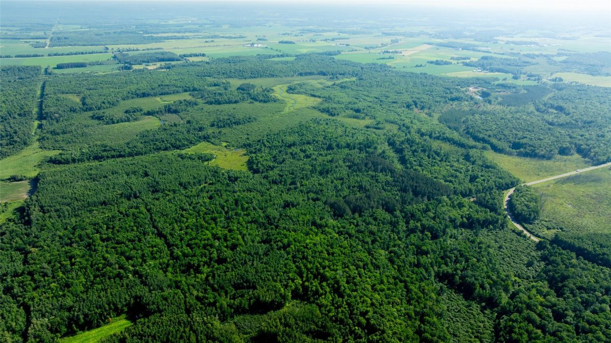 W5343 County Road X, Glen Flora WI 54526 - Land house for sale - MLS #1603306 - image13