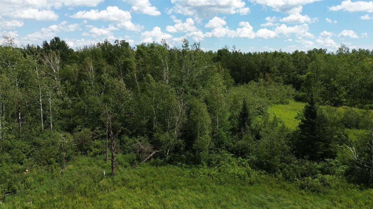 11199 Edgewood Avenue, Bruce WI 54848 - Land house for sale - MLS #1605749 - image9