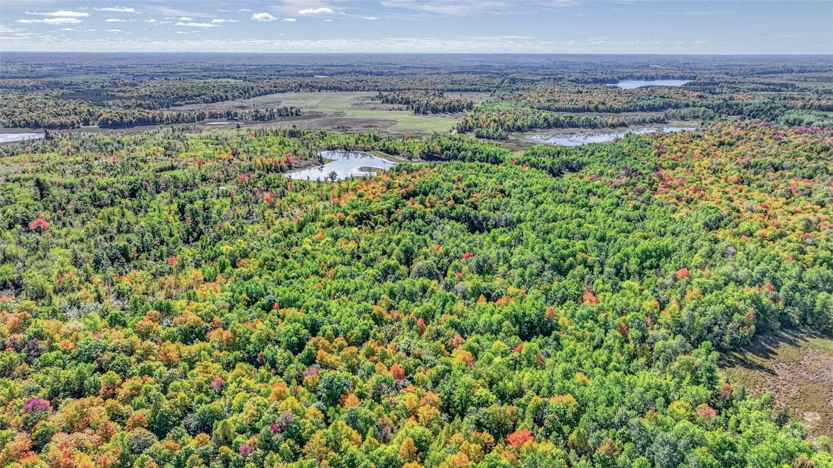 8087N Universal Drive, Winter WI 54896 - Land house for sale - MLS #1605404 - image12
