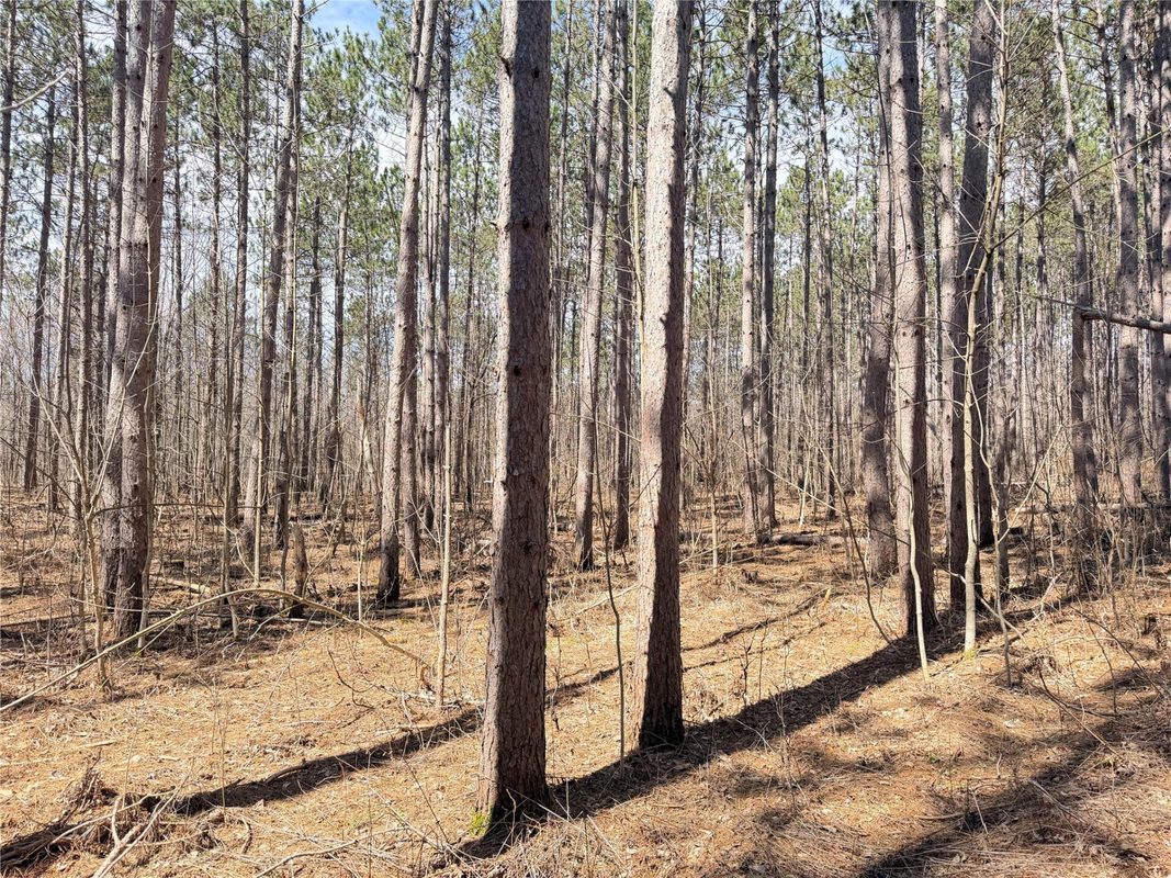20 Acres Star Lake Road, Rice Lake, WI — photo 24