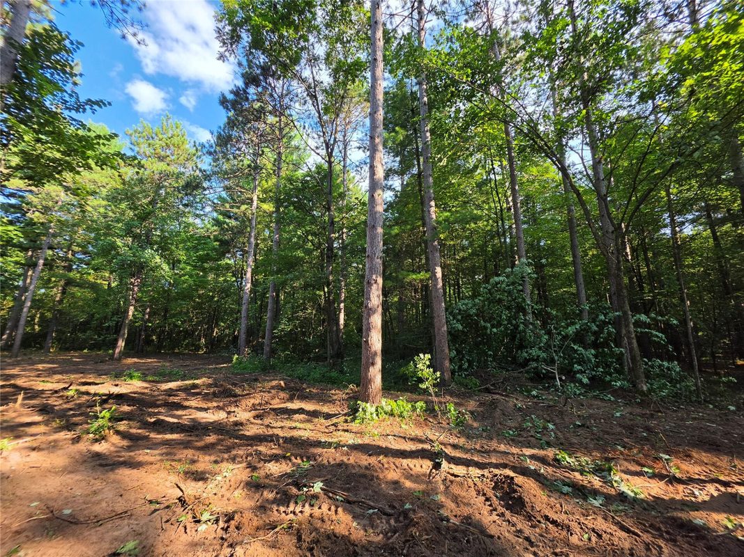 0 Country Road C Lot 1, Elk Mound WI 54739 - Land house for sale - MLS #1604589 - image4