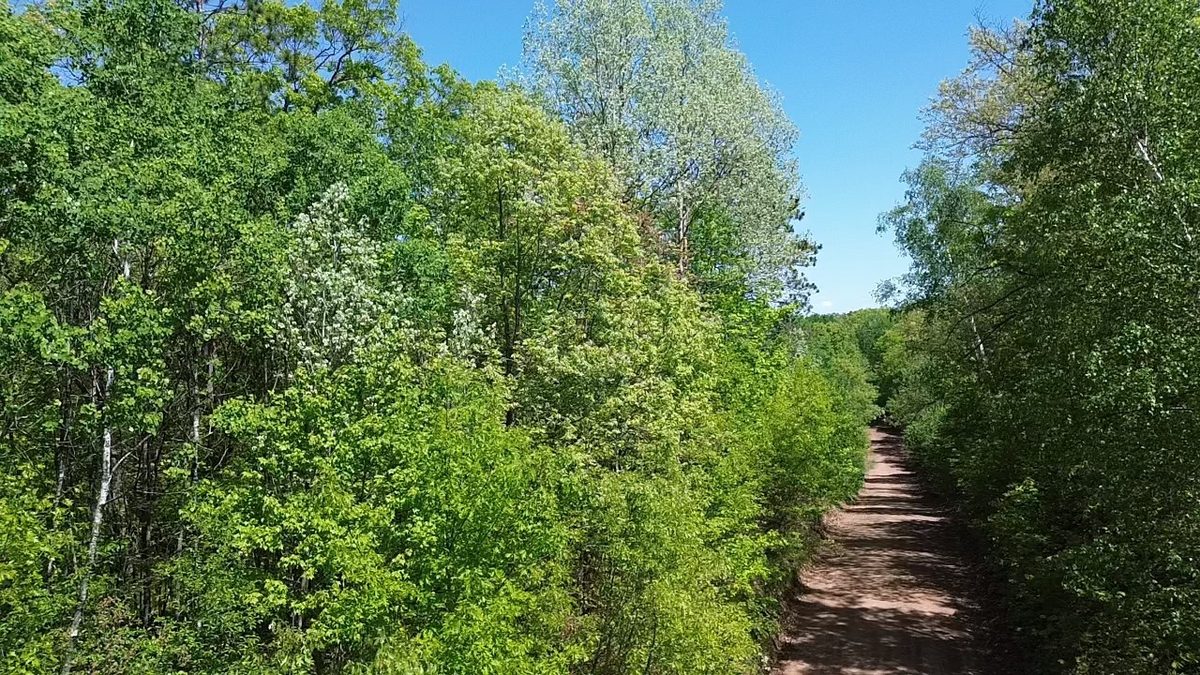 343X 5th Avenue, Spooner WI 54801 - Land house for sale - MLS #1601653 - image17
