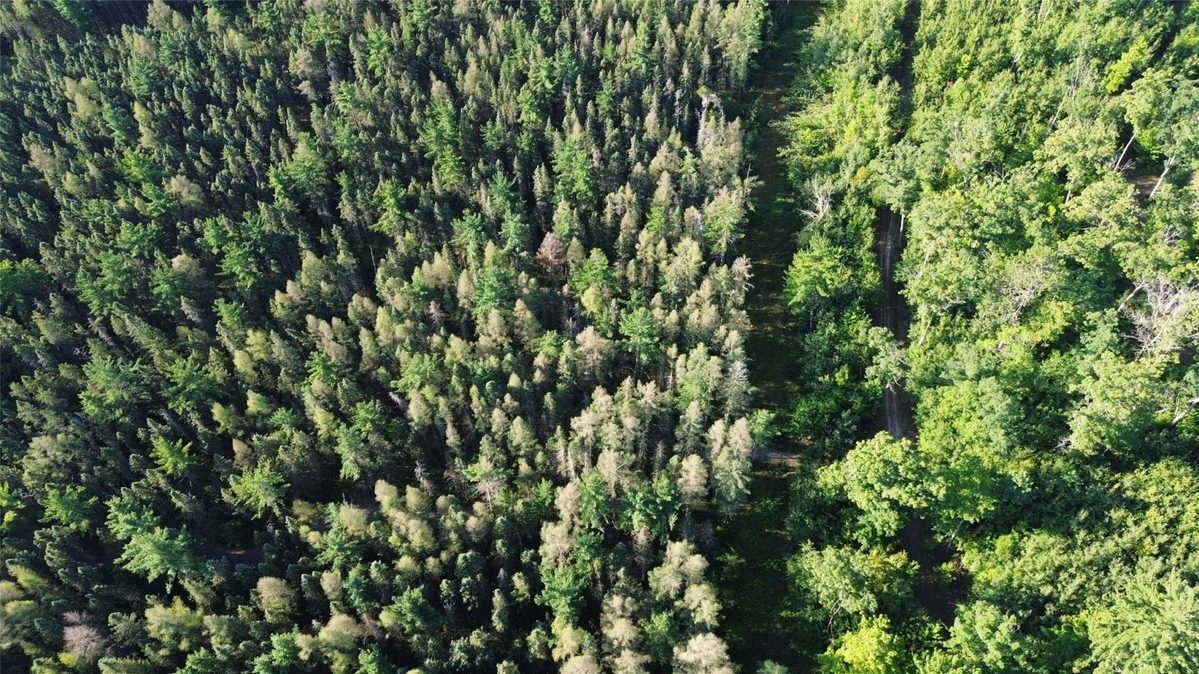 0000 Sand Lake Road, Stone Lake WI 54876 - Land house for sale - MLS #1604299 - image10