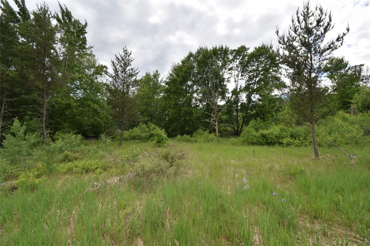 25385 Spaulding Road, Grantsburg WI 54840 - Land house for sale - MLS #1602394 - image4