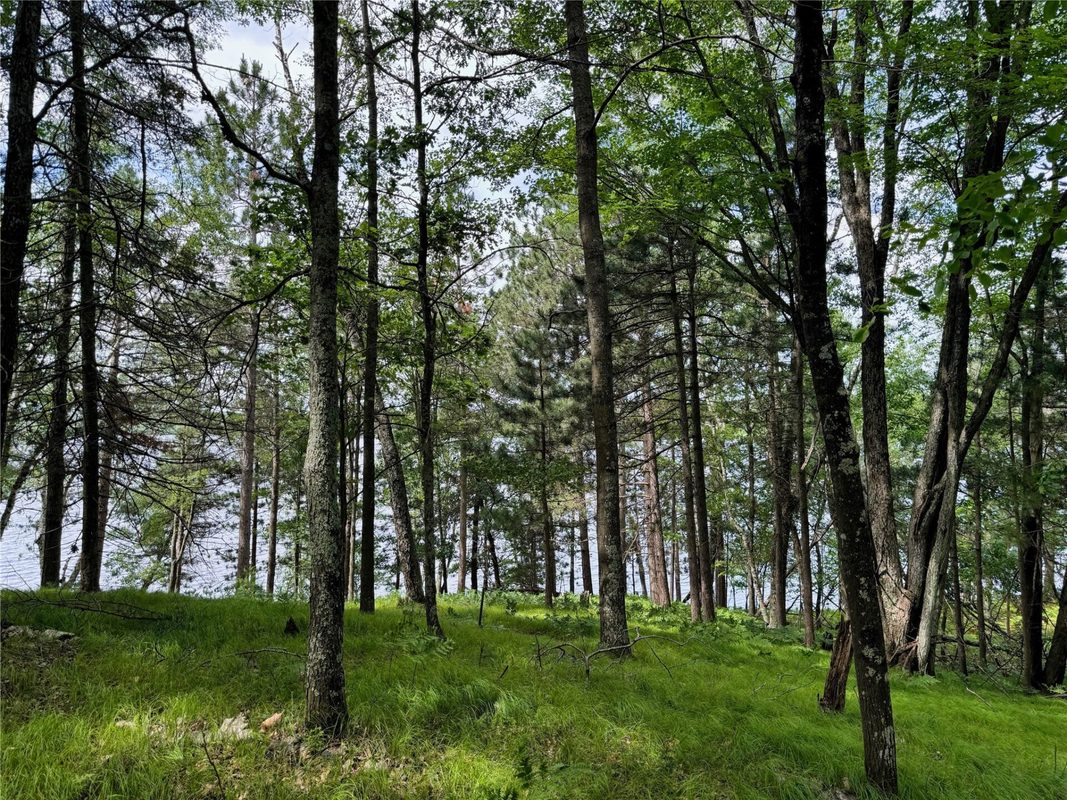 11149 Merganser Lane, Hayward WI 54843 - Land house for sale - MLS #1604672 - image5