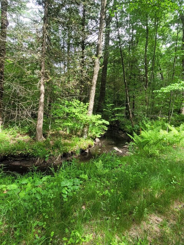 N900 Resewood Avenue, Neillsville WI 54456 - Land house for sale - MLS #1597245 - image18