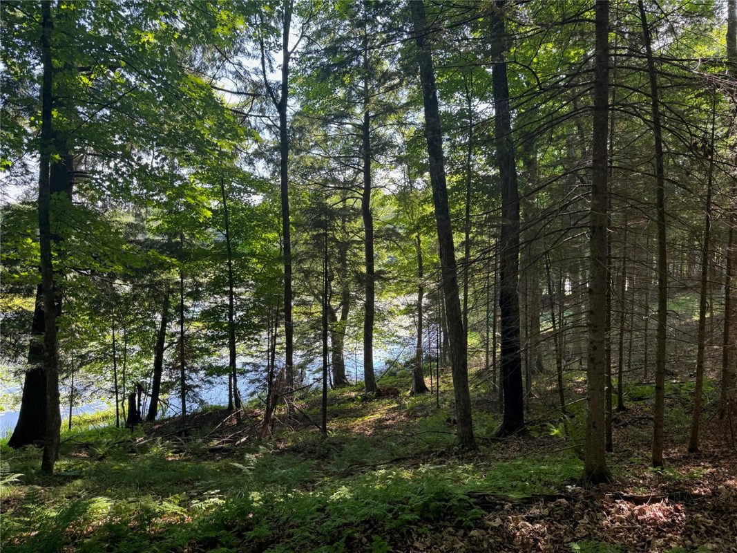 Lot 8 Crane Lane, Hayward WI 54843 - Land house for sale - MLS #1603375 - image25