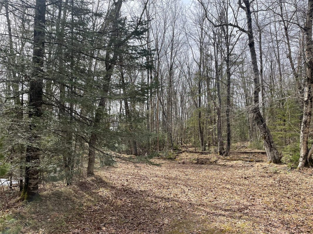 4091 W North Clover Road, Winter, WI — photo 8