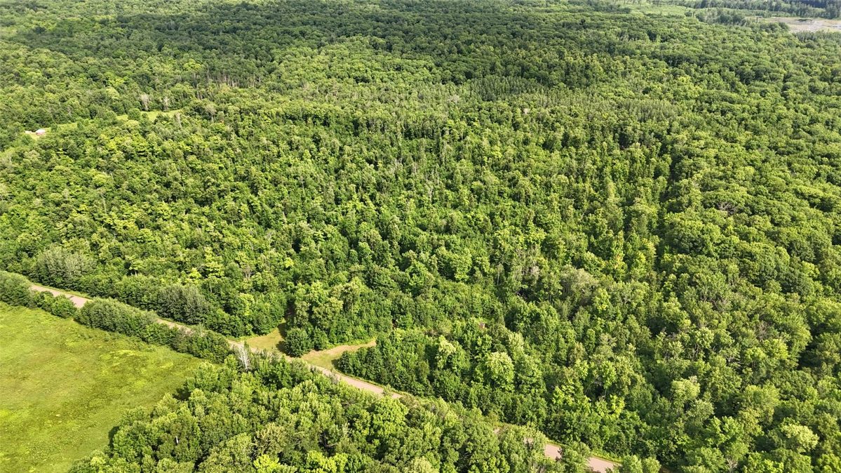 XXX Eckel Lane, Couderay WI 54835 - Land house for sale - MLS #1603143 - image7