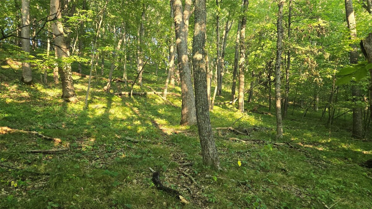 W02 State Highway 64, Colfax WI 54730 - Land house for sale - MLS #1604529 - image14