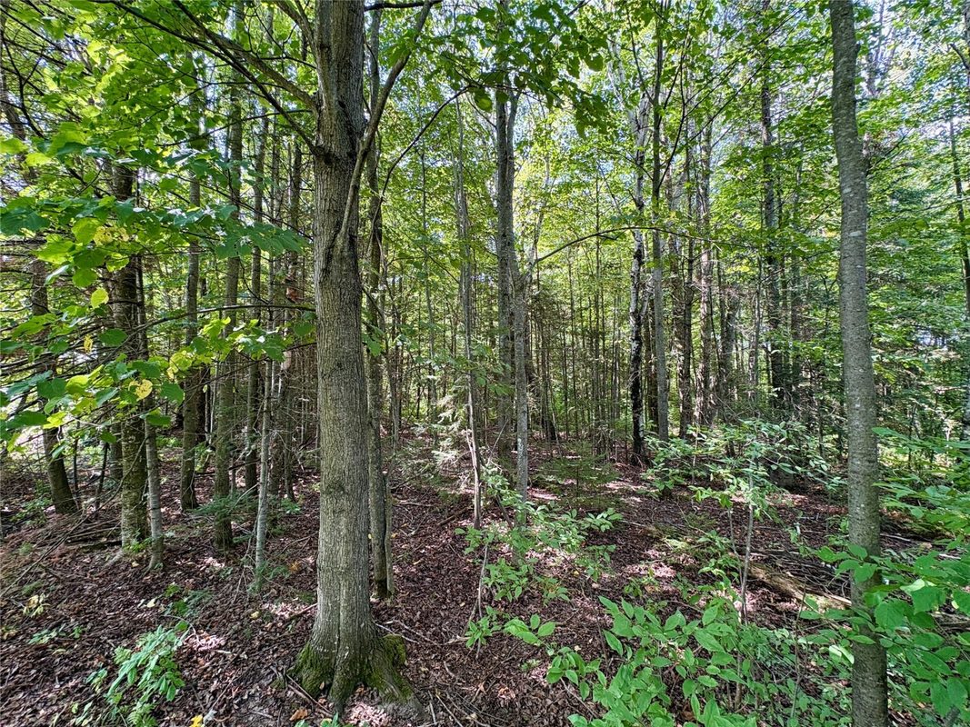 W16860 Cty Rd D, Sheldon WI 54766 - Land house for sale - MLS #1604631 - image43