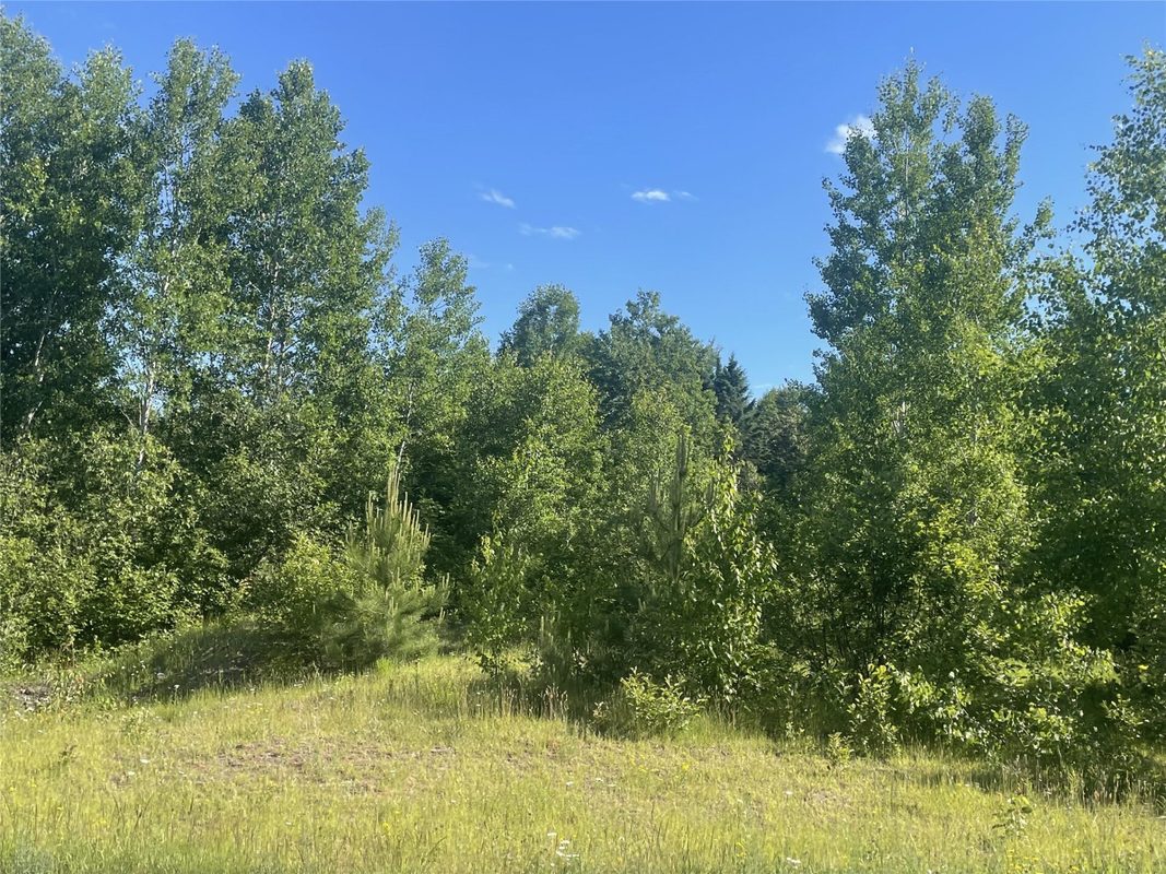 39+/- A on County Highway E, Iron Belt WI 54536 - Land house for sale - MLS #1602959 - image13