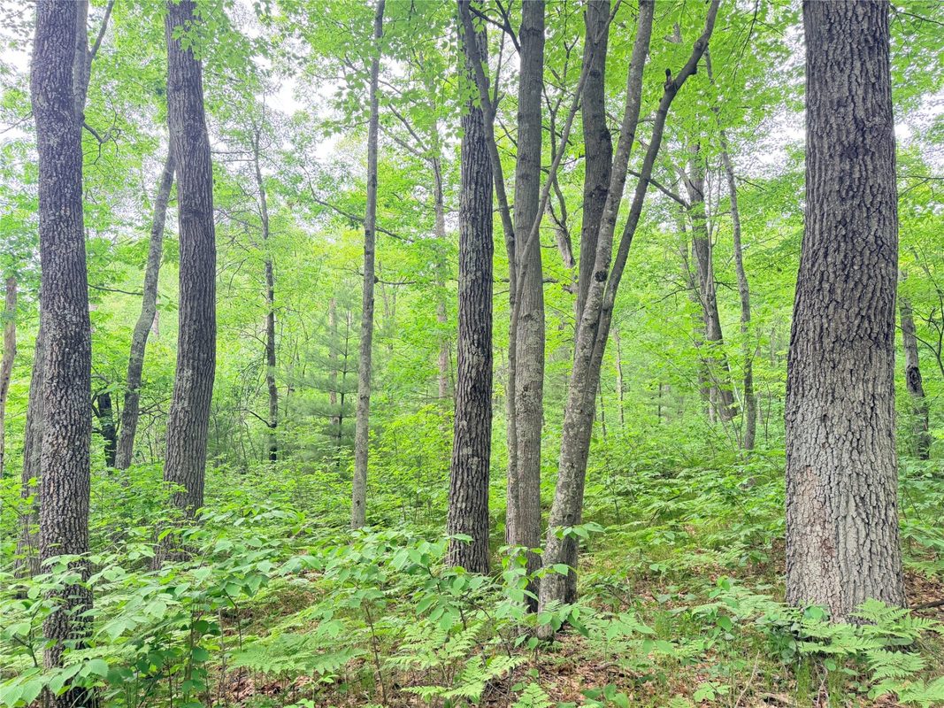 0 Schultz Lane, Stone Lake WI 54876 - Land house for sale - MLS #1601955 - image10