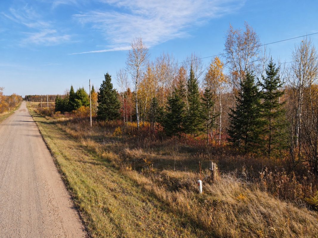 TBD Fedyn Road, Ladysmith WI 54848 - Land house for sale - MLS #1606244 - image5
