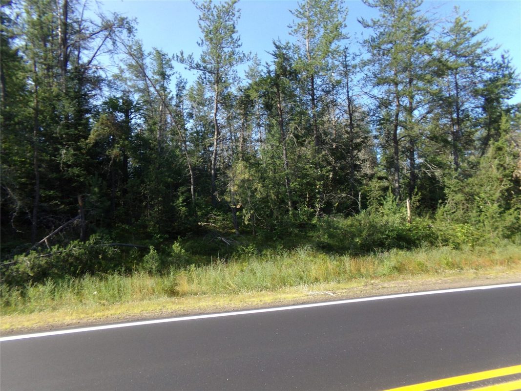 TBD Baldwin Avenue, Solon Springs WI 54873 - Land house for sale - MLS #1602901 - image6