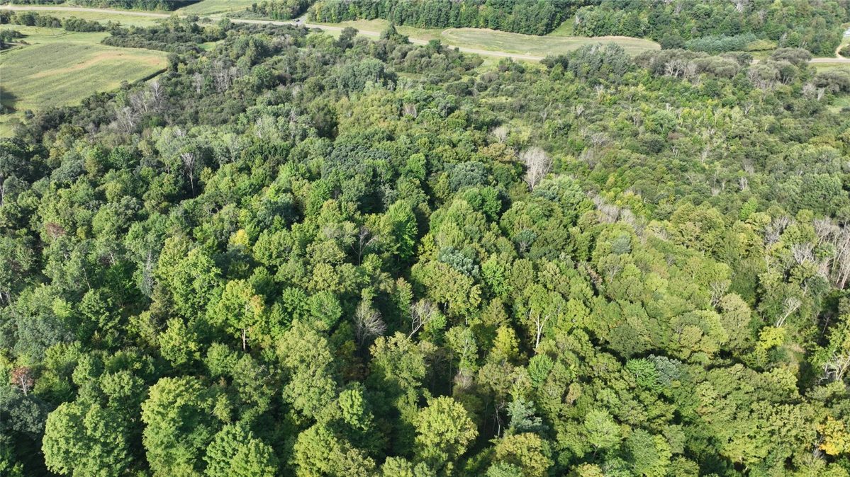 XX County Road O, Boyceville WI 54725 - Land house for sale - MLS #1604881 - image25