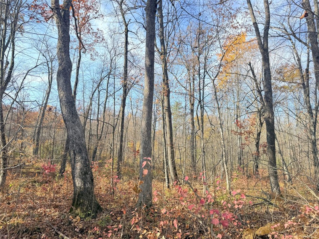 0 County Highway C, Rice Lake WI 54868 - Land house for sale - MLS #1605929 - image30