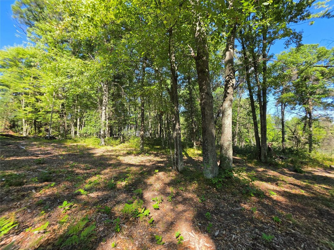 27696 295th (Lot 15) Street, Holcombe WI 54745 - Land house for sale - MLS #1604256 - image7