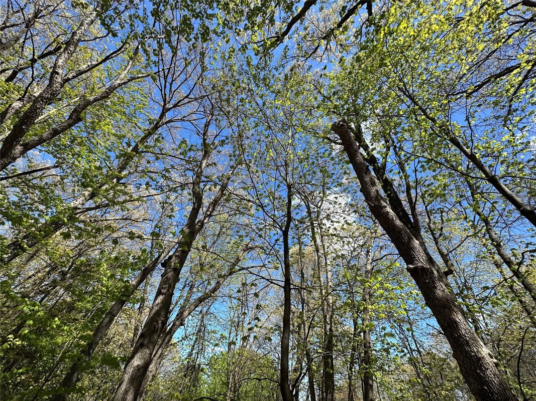 1438 Pleasant Hill Road, Eau Claire WI 54703 - Land house for sale - MLS #1602766 - image41