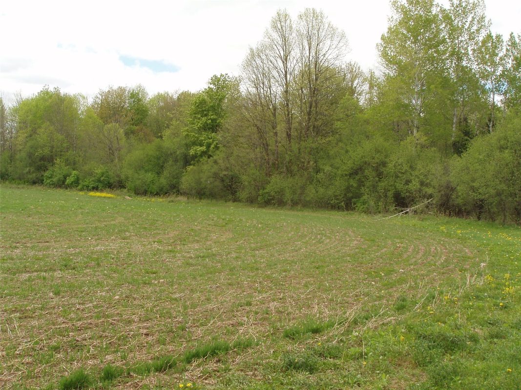 W9002 Moonshine Alley, Catawba WI 54514 - Residential house for sale - MLS #1601811 - image35