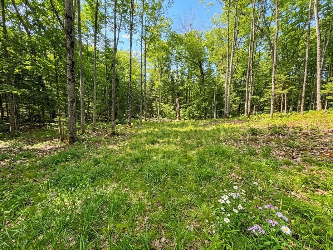2861 29 7/16 Avenue, Birchwood WI 54817 - Land house for sale - MLS #1599164 - image8
