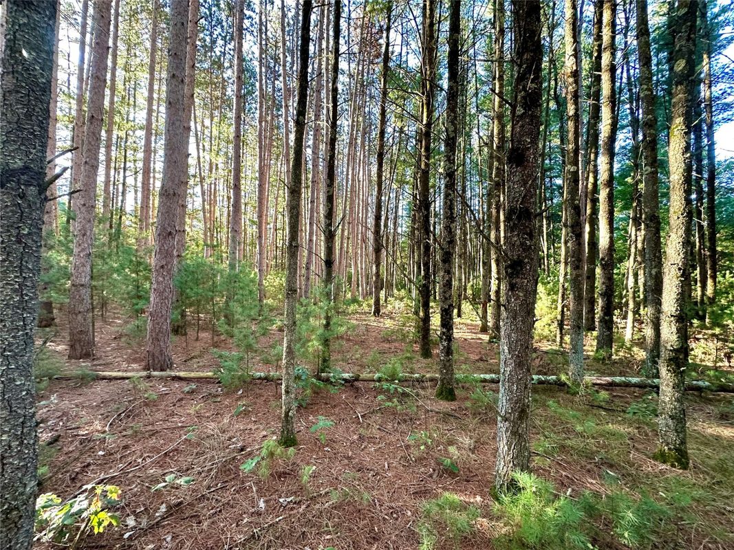 S3678 County Road N, Augusta WI 54722 - Land house for sale - MLS #1605865 - image17