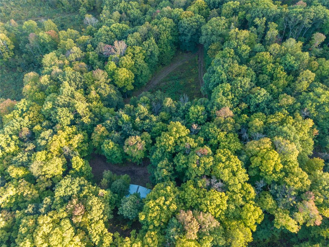 38.2 Acres Vierck Lane, Exeland WI 54835 - Land house for sale - MLS #1605286 - image9