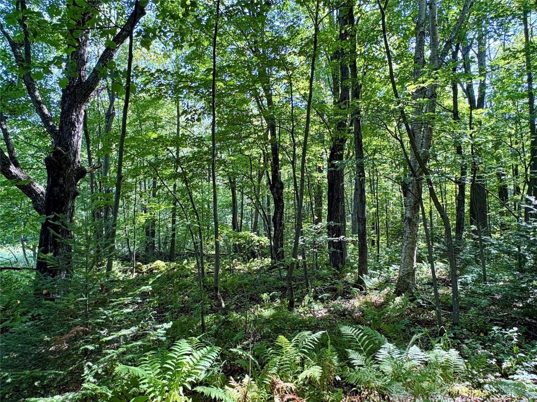 W16860 Cty Rd D, Sheldon WI 54766 - Land house for sale - MLS #1604631 - image33