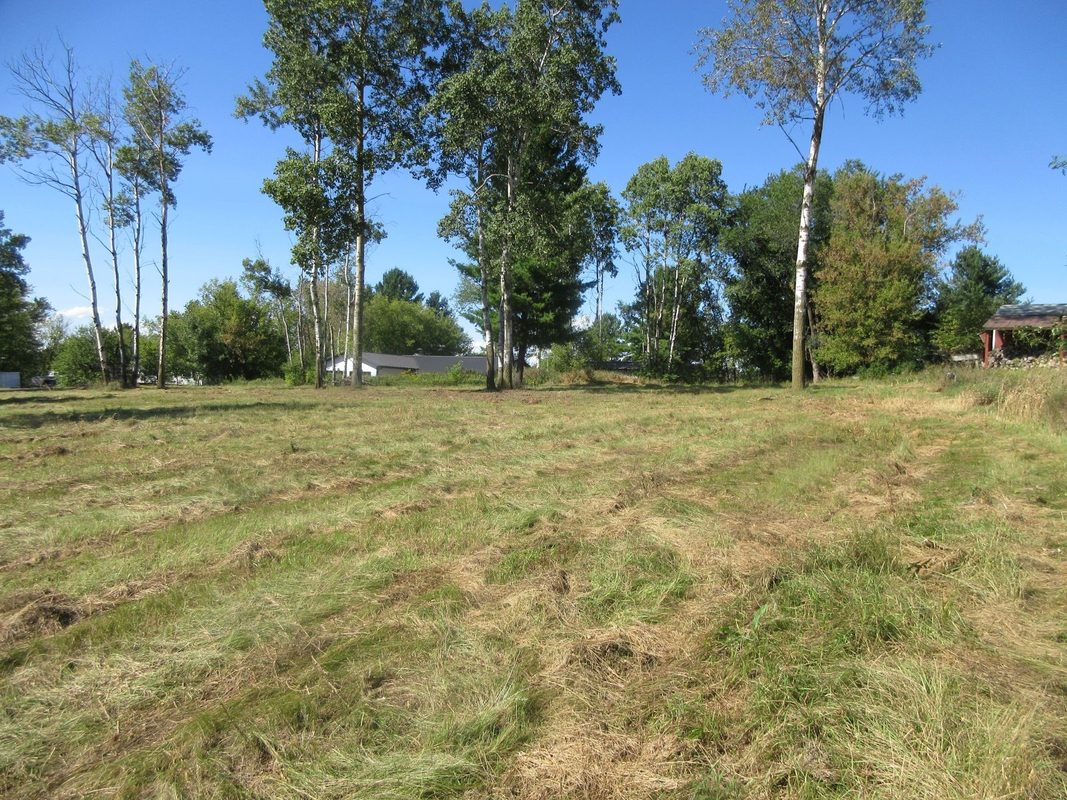 Lot 13 516th Street, Menomonie WI 54751 - Land house for sale - MLS #1603467 - image6