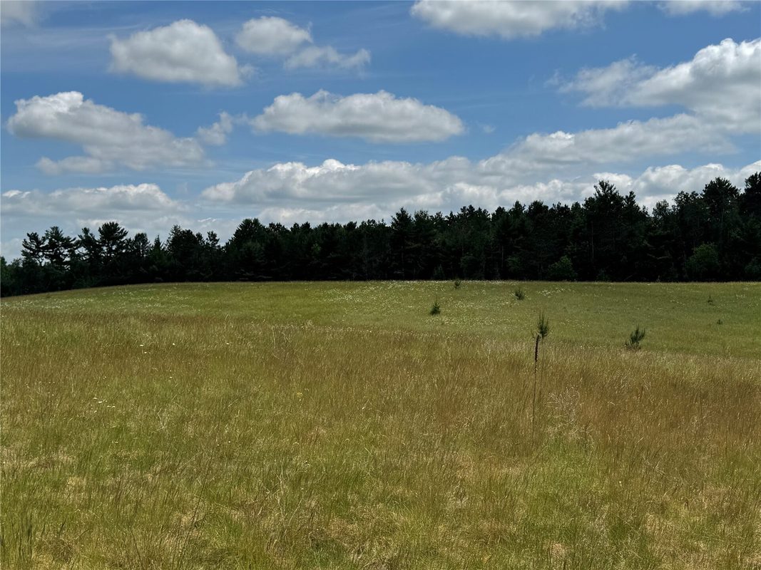 N 6398 Fred Tripp Road, Springbrook WI 54875 - Land house for sale - MLS #1602077 - image27