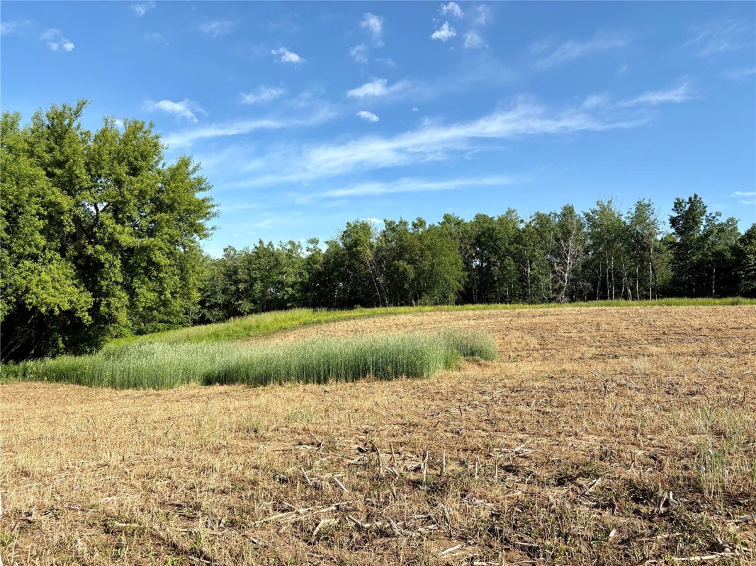 15.01 Acres 160th Avenue, Maiden Rock WI 54750 - Land house for sale - MLS #1604580 - image40