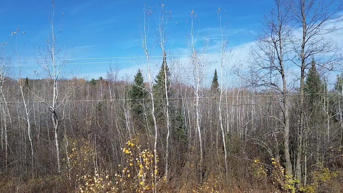 123XX W Jos R Chafer Road, Couderay WI 54828 - Land house for sale - MLS #1606292 - image10
