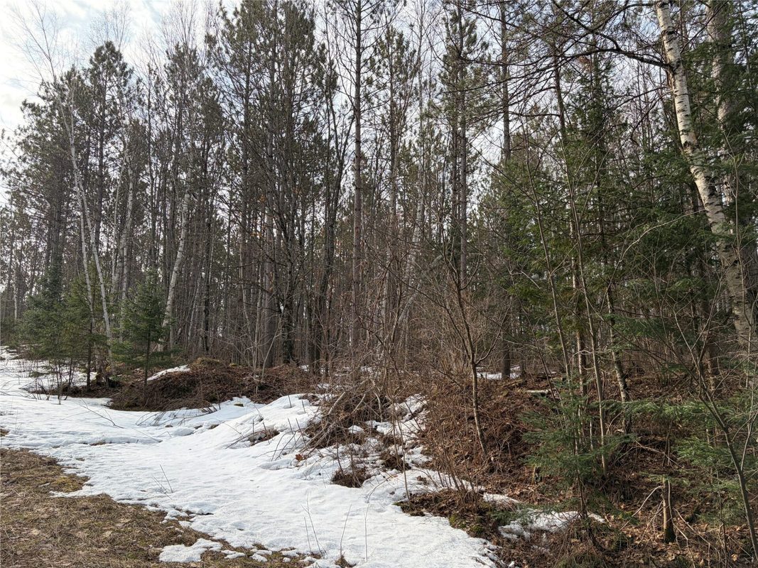 ON Barker Lake Road, Winter WI 54896 - Land house for sale - MLS #1599276 - image4