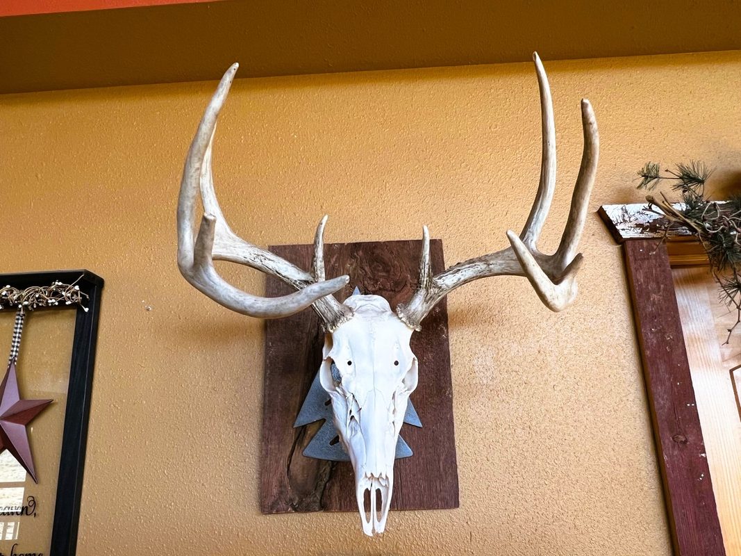 000 Pete Coulee Road, Taylor, WI — photo 10