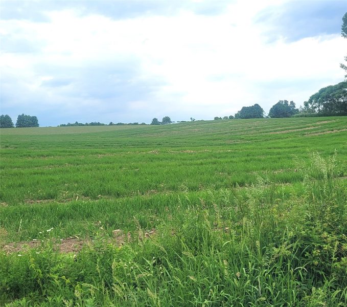 000 County Hwy B Lot 3 