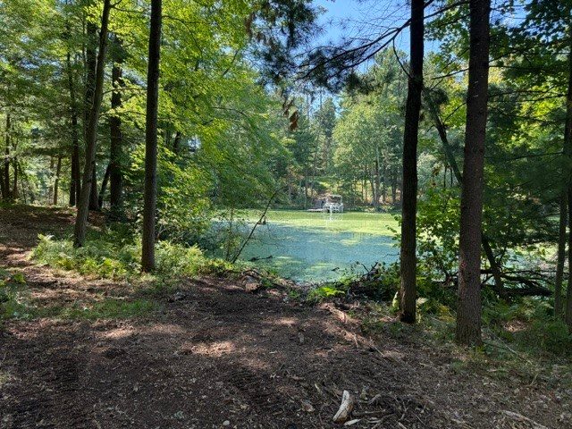 Lot 4 9 3/4 Avenue