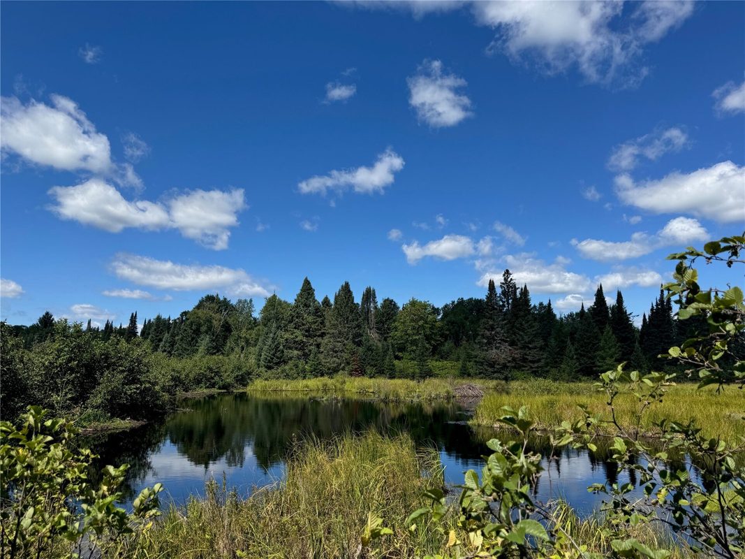 8143 Wright Road, Winter WI 54896 - Land house for sale - MLS #1594262 - image12