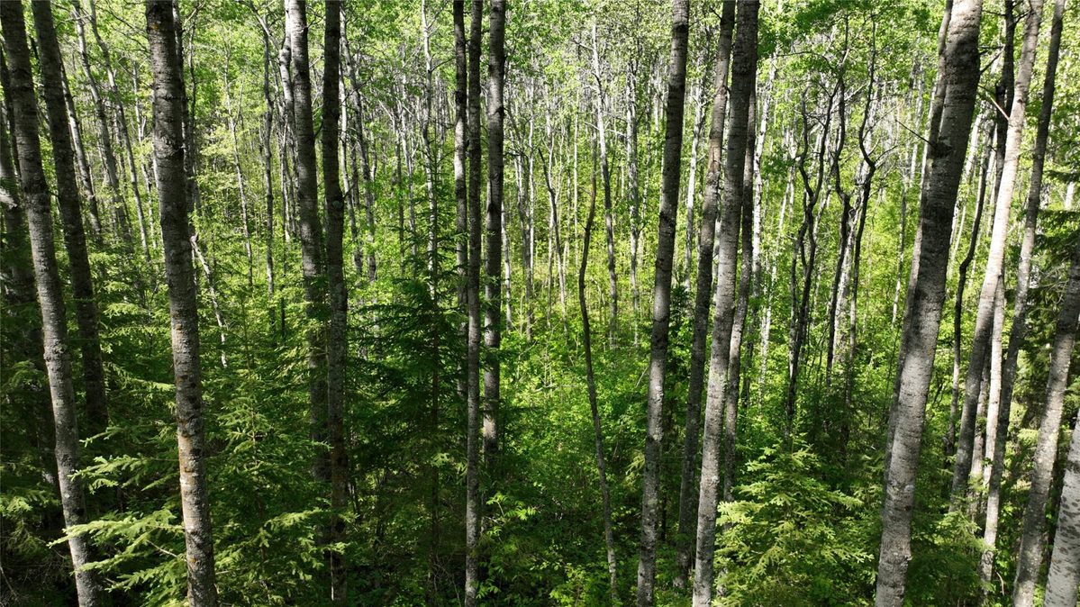 1640 County Road W, Superior WI 54880 - Land house for sale - MLS #1602205 - image31