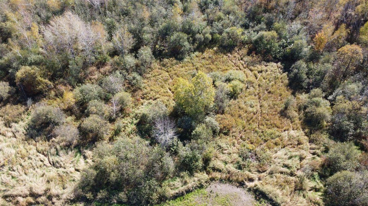OOO Richfield Wood Road, Arpin WI 54410 - Land house for sale - MLS #1605936 - image4