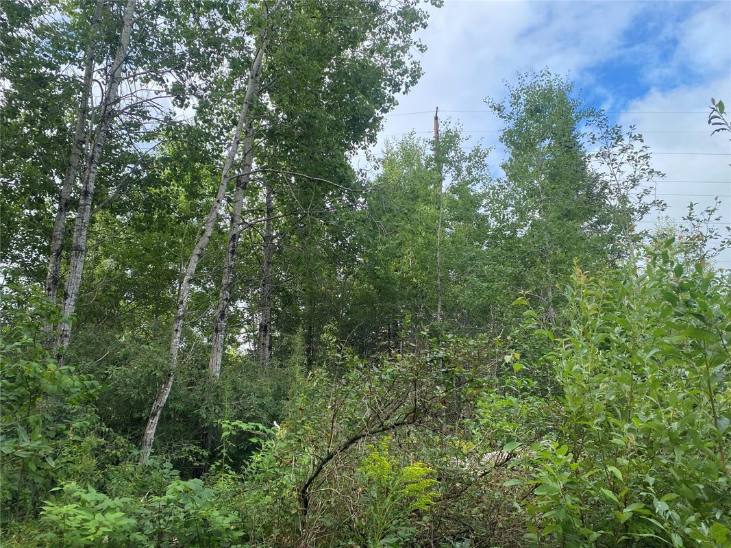 ON Delap Lane Couderay WI 54828 — photo 2