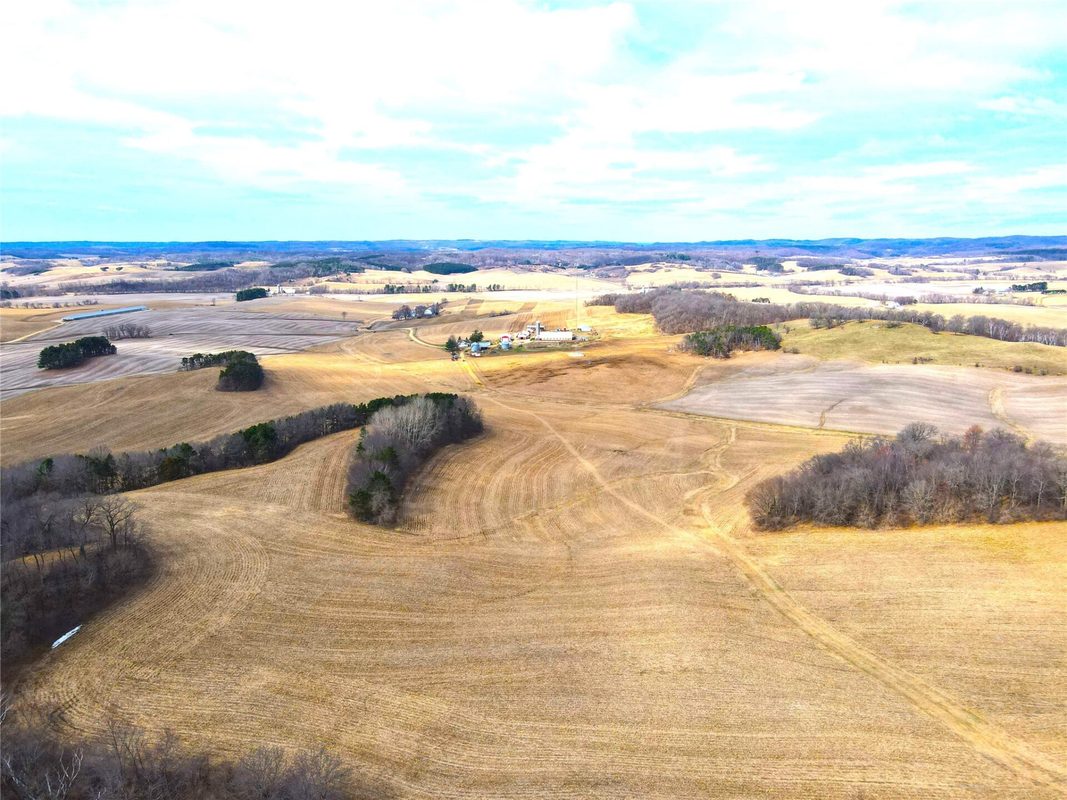 N41286 Halama Road, Independence WI 54747 - Aerial of large harvested grain field with scattered tree clumps and farm visible at horizon - MLS #1599405 - image17