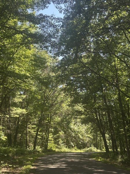 Lot 3 271st Street