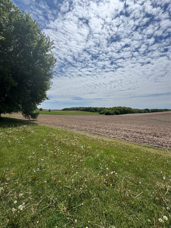 9007 County Highway N, Chippewa Falls WI 54729 - Residential house for sale - MLS #1603516 - image54