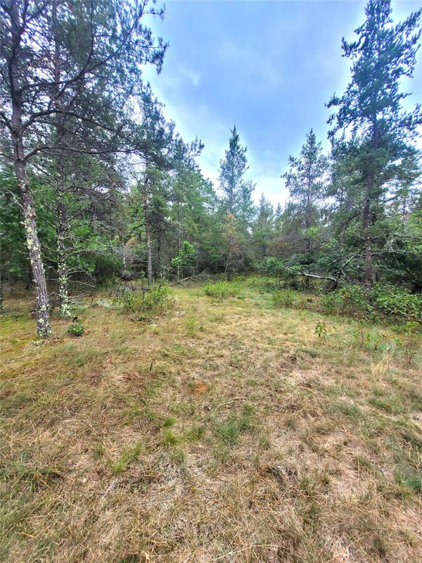 0 Blueberry Rd, Gordon WI 54838 - Land house for sale - MLS #1604990 - image32