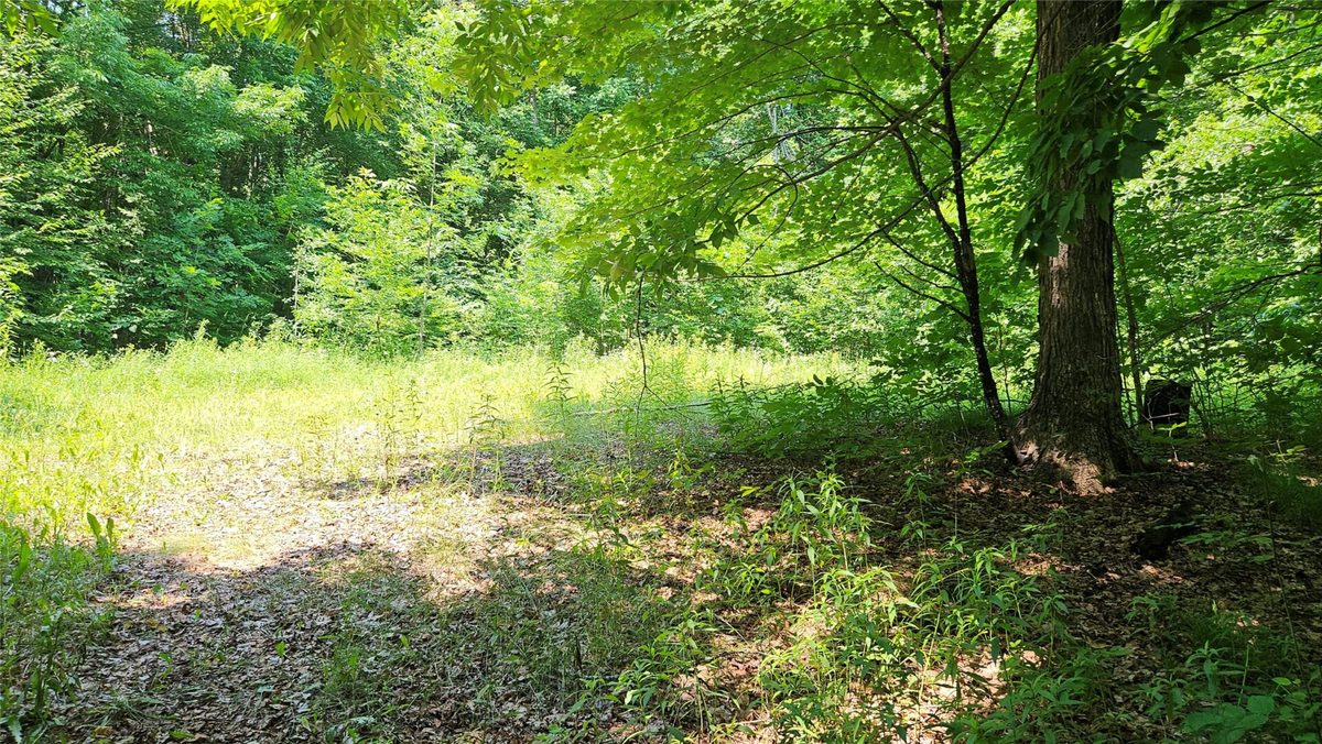 4687 Valesh Road, Couderay WI 54828 - Land house for sale - MLS #1602810 - image8