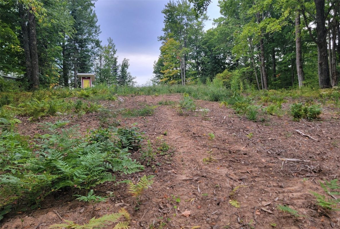 5522N County Highway G, Winter WI 54896 - Land house for sale - MLS #1605127 - image11