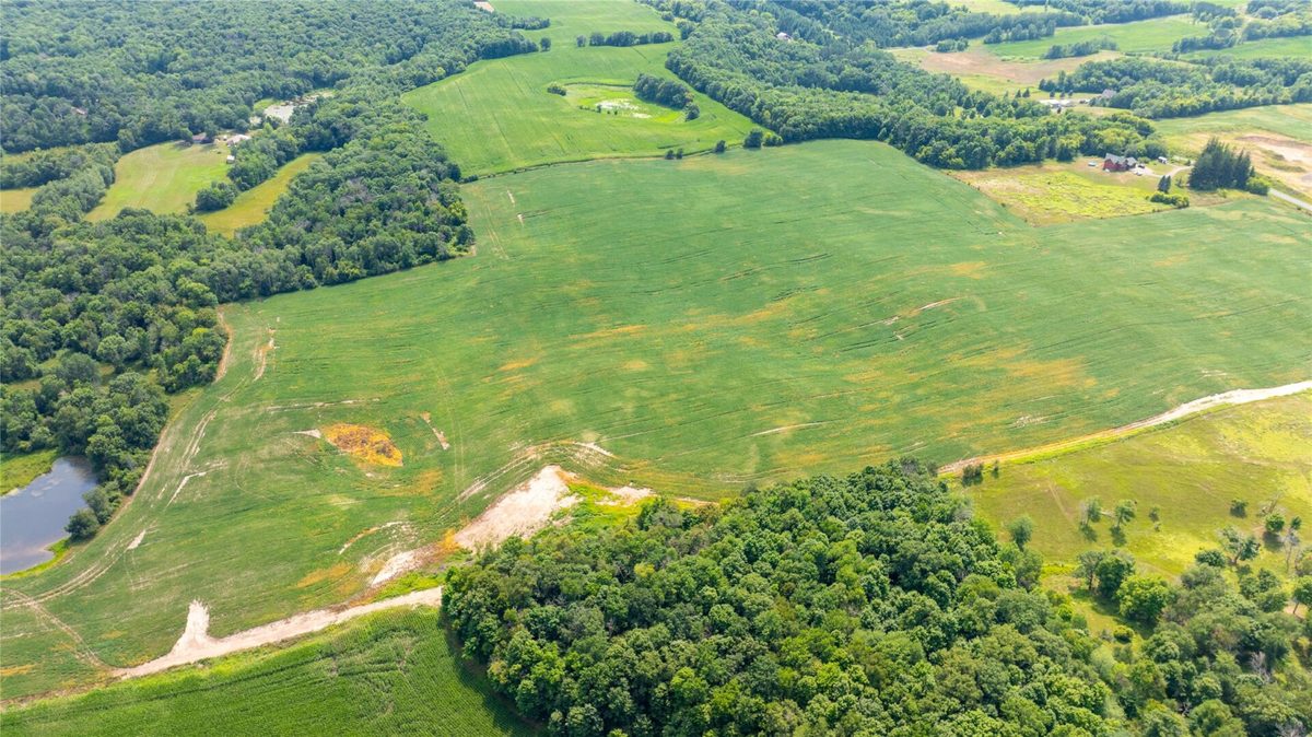 XXXX 190th Street, Centuria WI 54824 - Land house for sale - MLS #1605124 - image2