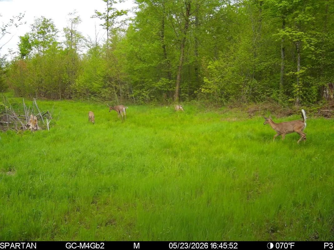 On County Road H, Radisson WI 54867 - Land house for sale - MLS #1603350 - image23