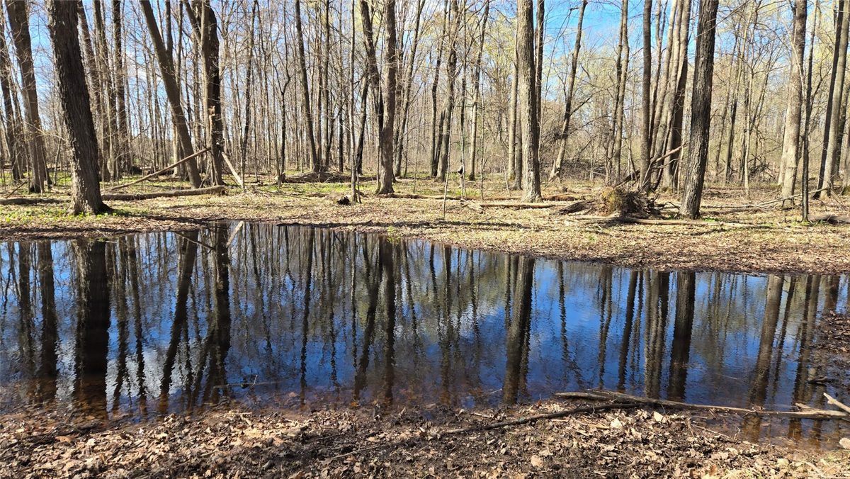 012345 26th Avenue, Rice Lake WI 54868 - Land house for sale - MLS #1602600 - image12